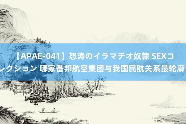 【APAE-041】怒涛のイラマチオ奴隷 SEXコレクション 哪家番邦航空集团与我国民航关系最轮廓？