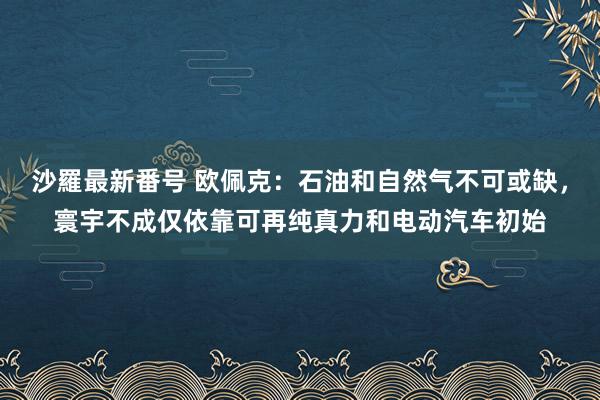 沙羅最新番号 欧佩克：石油和自然气不可或缺，寰宇不成仅依靠可再纯真力和电动汽车初始