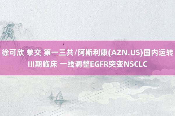 徐可欣 拳交 第一三共/阿斯利康(AZN.US)国内运转III期临床 一线调整EGFR突变NSCLC