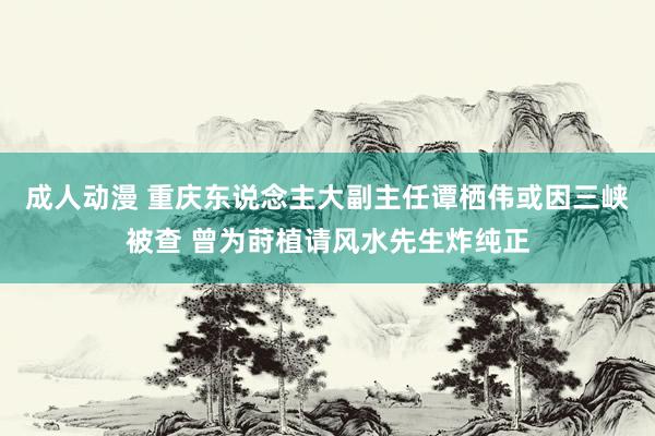 成人动漫 重庆东说念主大副主任谭栖伟或因三峡被查 曾为莳植请风水先生炸纯正