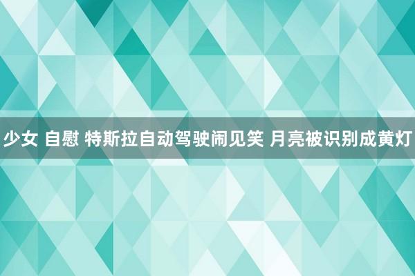 少女 自慰 特斯拉自动驾驶闹见笑 月亮被识别成黄灯